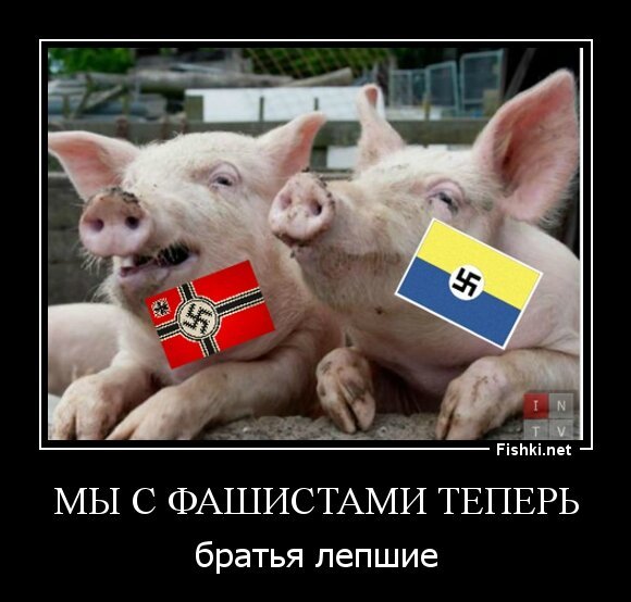 мы с фашистами теперь