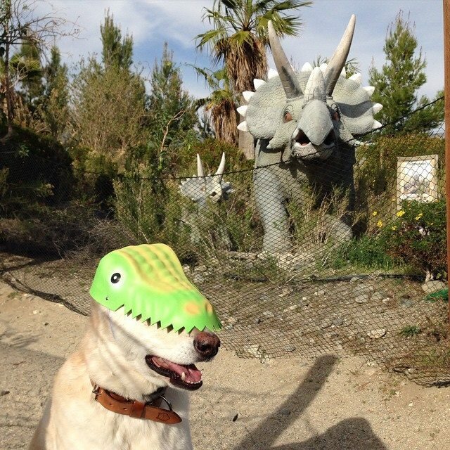 В парке динозавров 