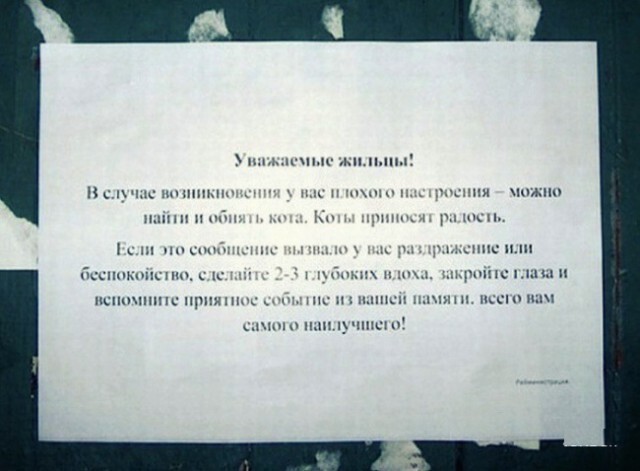 20 записок от людей, которым повезло с соседями