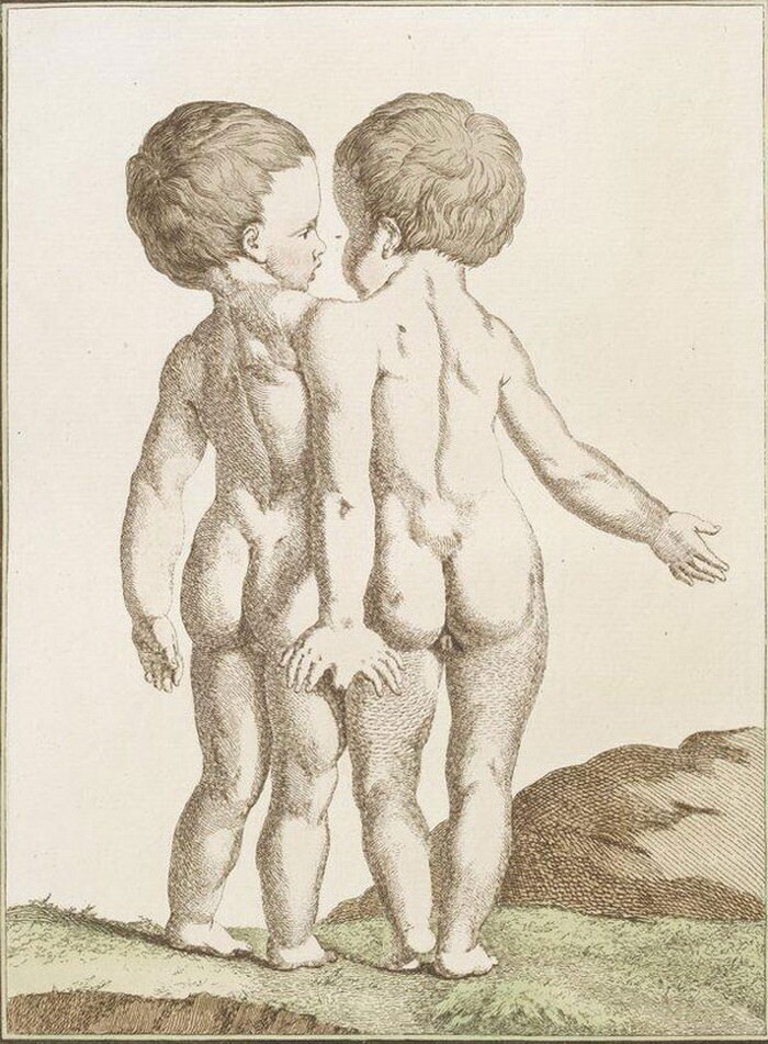 Рисунки из книги монстров XVIII века