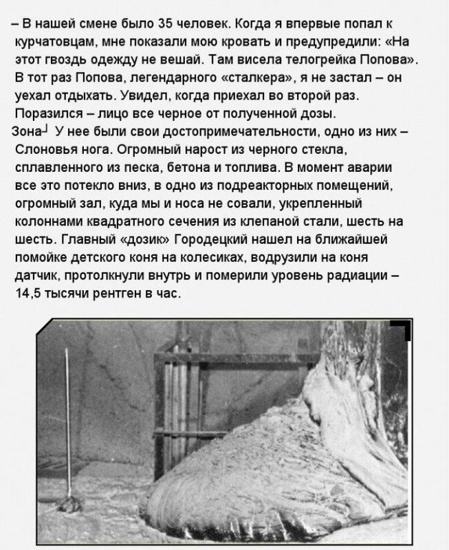«Слоновья нога» в зоне отчуждения Чернобыльской АЭС 