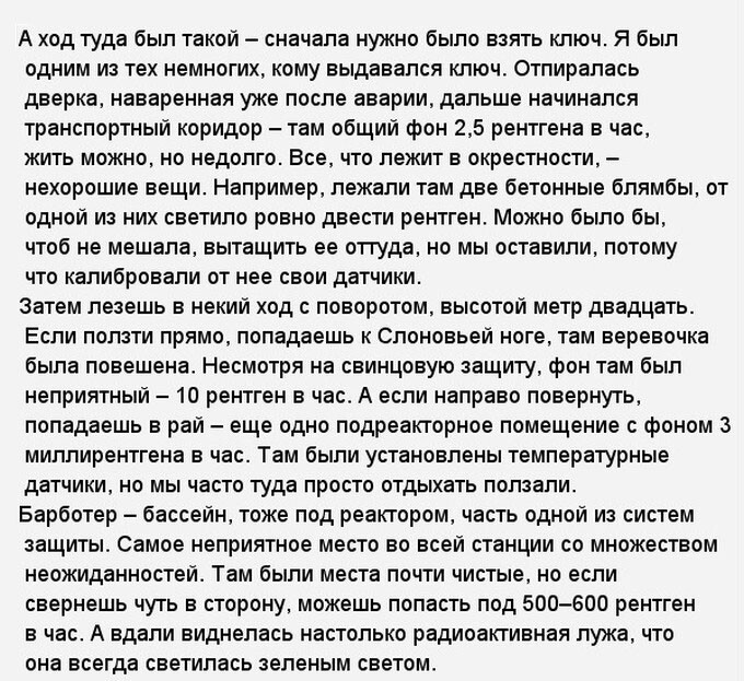 «Слоновья нога» в зоне отчуждения Чернобыльской АЭС 