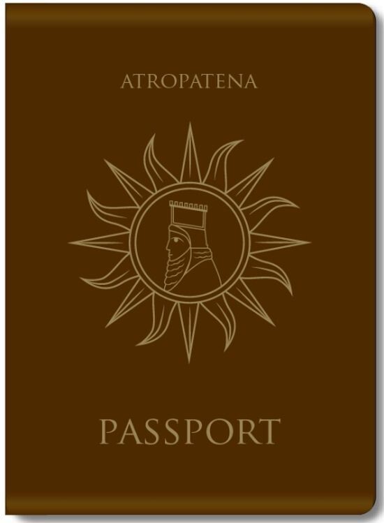  Необычные обложки для паспортов