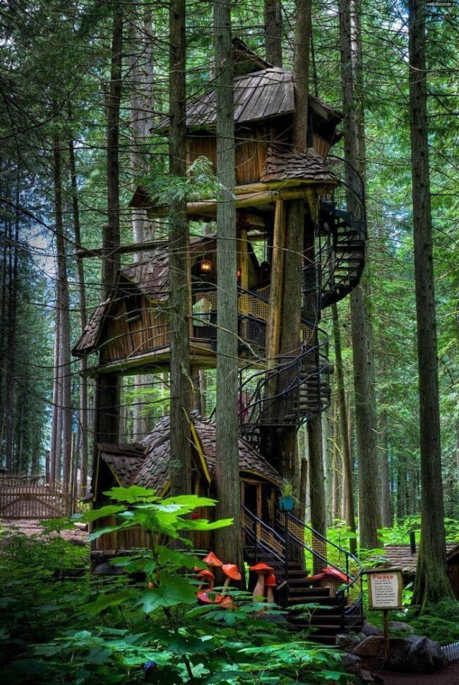 3. Трехуровневый домик на дереве в Британской Колумбии, Канада.
