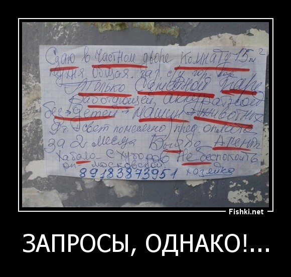 ЗАПРОСЫ, ОДНАКО!...