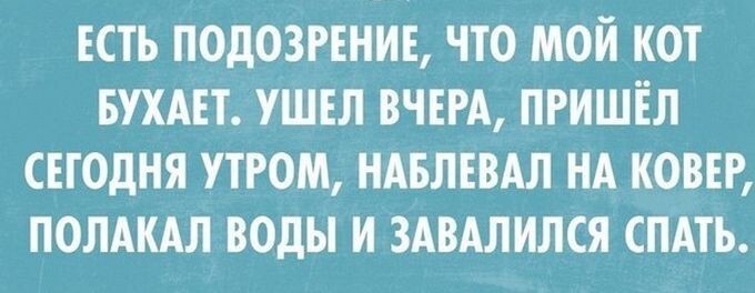 30 жизненных открыток для отличного настроения