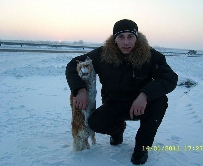 Соц. сети, придурки, боги фотошопа.