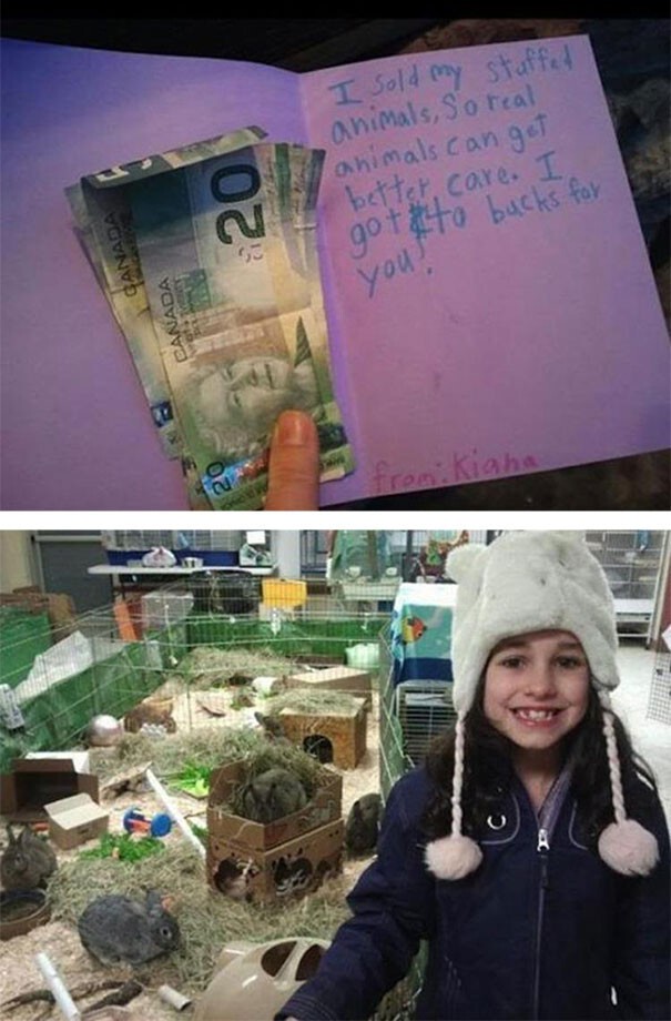 Эта девочка продала свои чучела животных, чтобы пожертвовать вырученные деньги приюту для животных