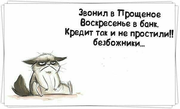 Картинки, которые гарантированно поднимут вам субботнее настроение 