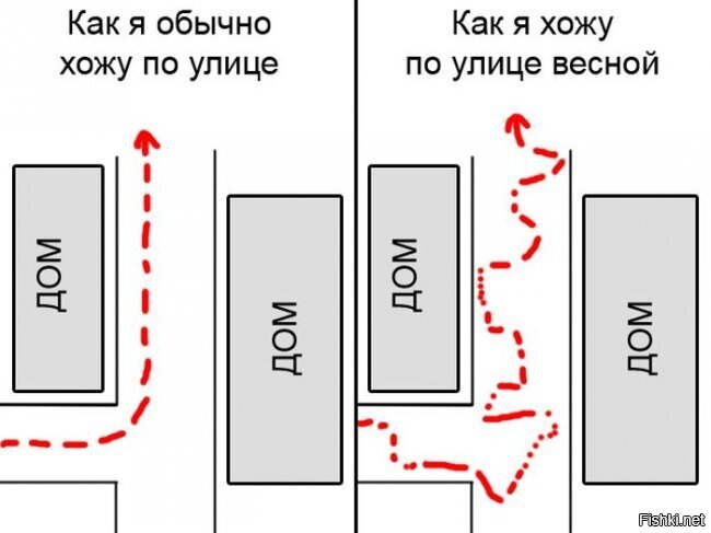 Из солянки от 01.03.2015