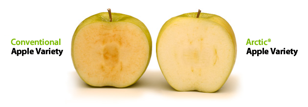 О пользе ГМО 