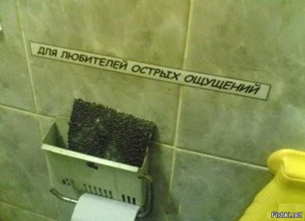 Из солянки