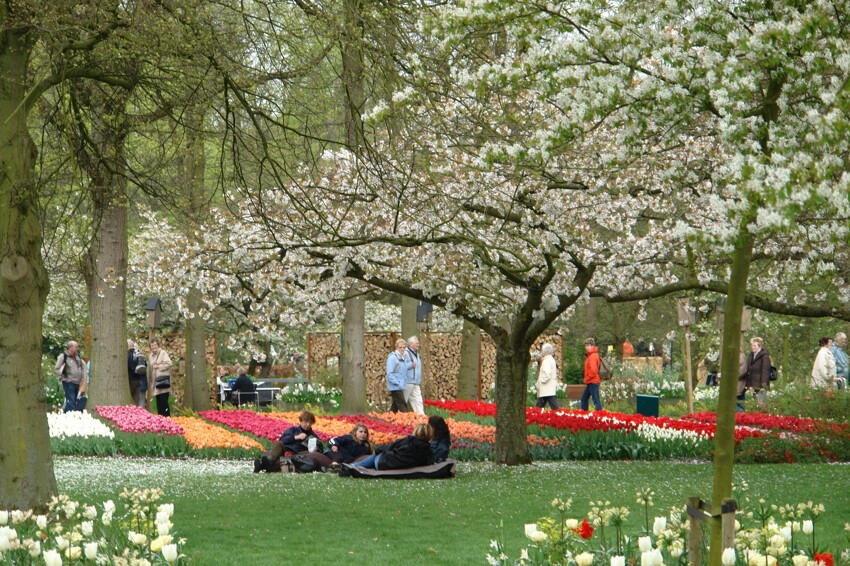 Весна! Парк Кюхенхофф (Нидерланды)