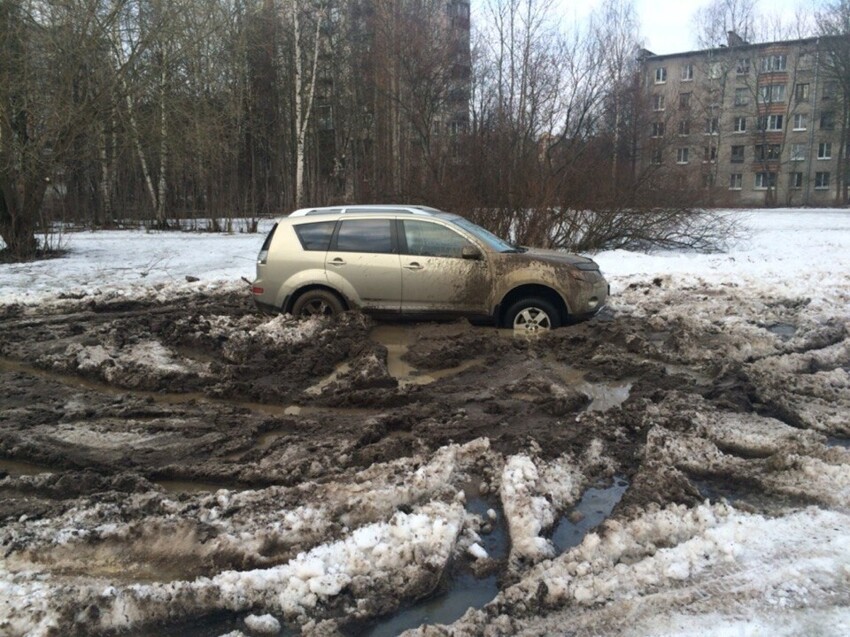 Газонный вредитель