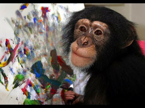 Какие картины рисует шимпанзе-художник?  