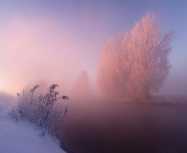 Зимнее утро на реке Свислочь, Республика Беларусь