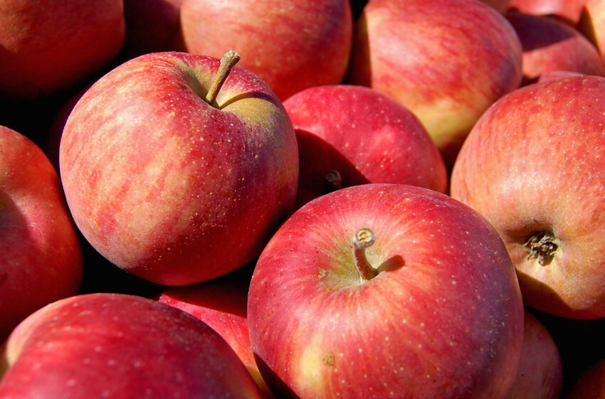 13. И какая может быть польза в яблоках?