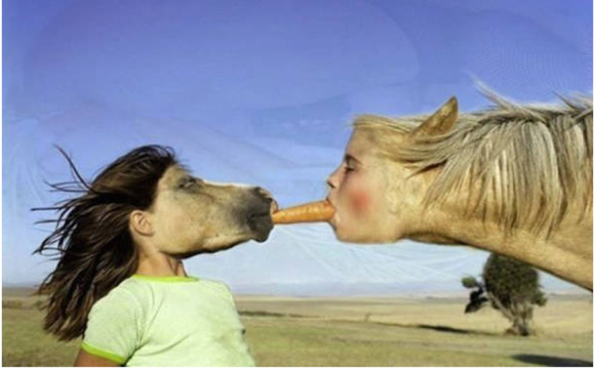 1. Уникальная фотография: лошадь кормит девочку