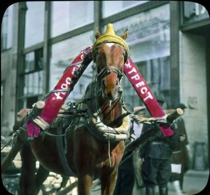 Редчайшие снимки Москвы 1931 года в цвете