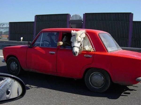 Красная машина с лошадкой