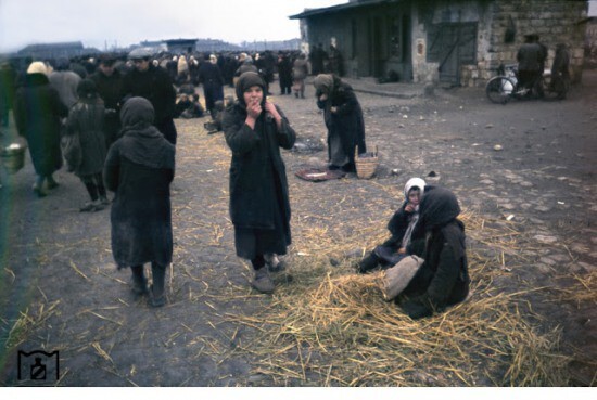  Фотоотчет немецкого оккупанта: разгромленные города СССР