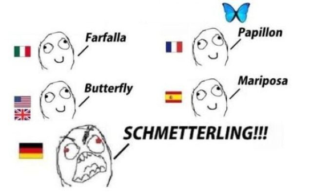 Несколько причин выучить немецкий язык