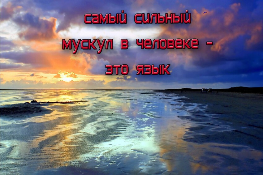 Самые бесполезные факты