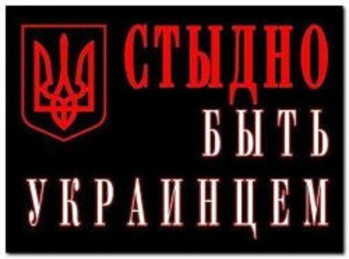 Антон Карамазов: Мне стыдно за то, что я украинец. (репост)