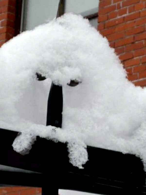 Снеговик на заборе.