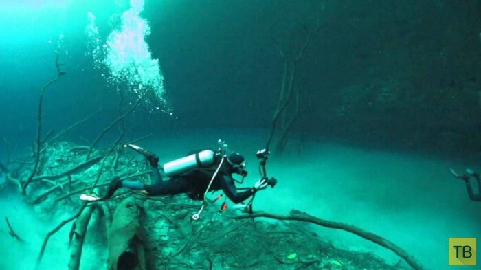 Сенот Анжелита - мистическая подводная река в Мексике