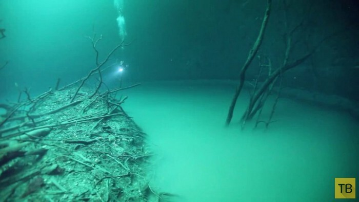 Сенот Анжелита - мистическая подводная река в Мексике