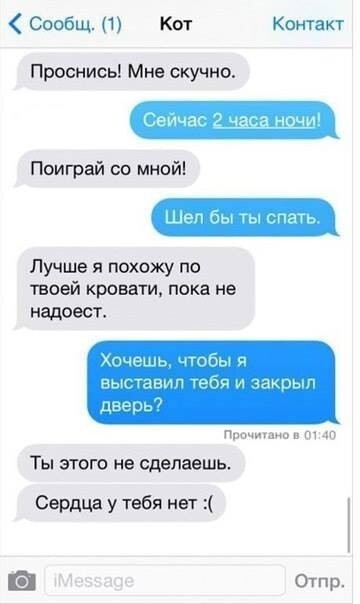 Если бы коты умели писать СМС-ки!