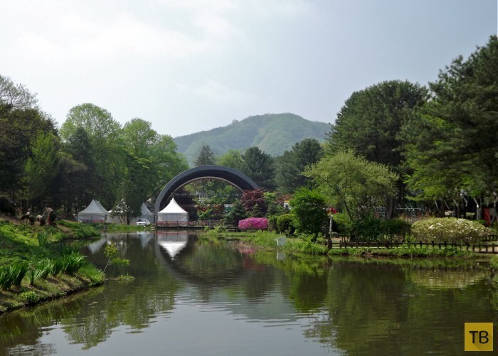 Сад утреннего спокойствия в Южной Корее