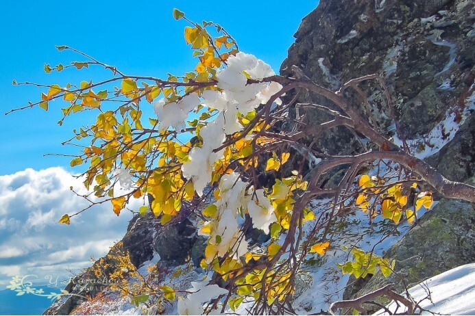 15 фотографий, где весна граничит с зимой
