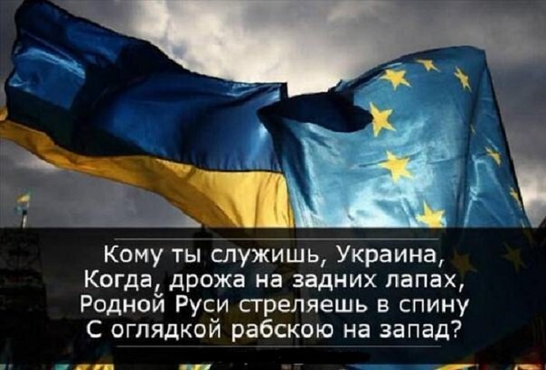 Ответь мне украинец , мне - русскому.