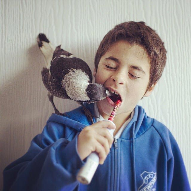 "По какой-то причине, Пингвин любит зубную пасту, и буквально лезет за ней в рот", - сказала Кэмерон Блум