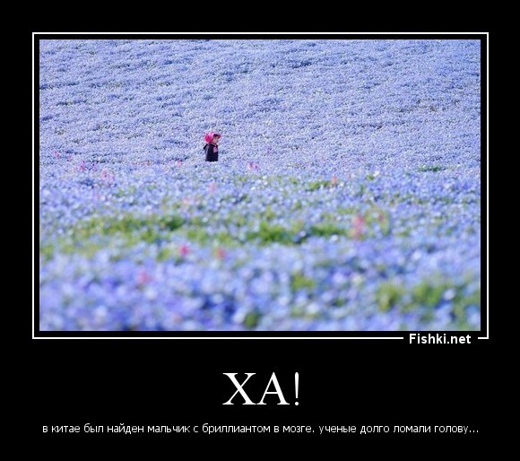 ХА!