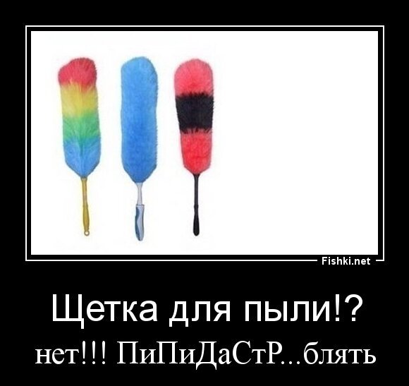 Щетка для пыли!?