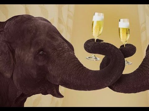Алкоголь для слонов зимой! Даже слоны в России пьют водку 
