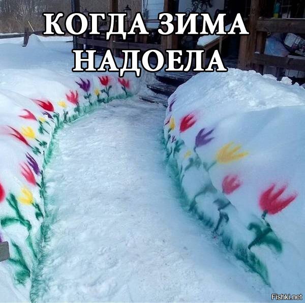 Из солянки