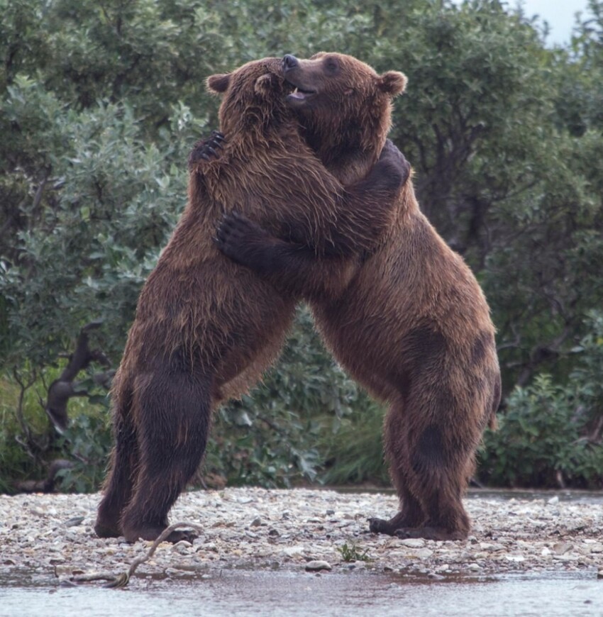 Лучшие фотографии месяца!