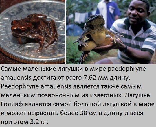 Большие и маленькие