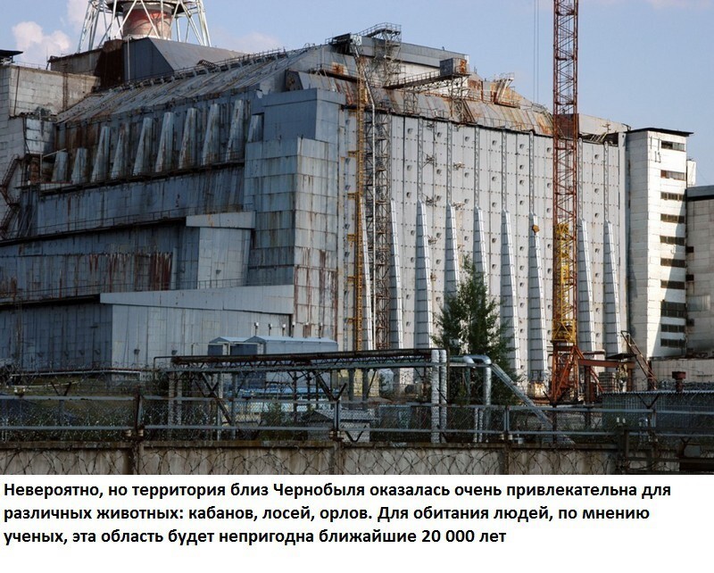 Факты о Чернобыле 