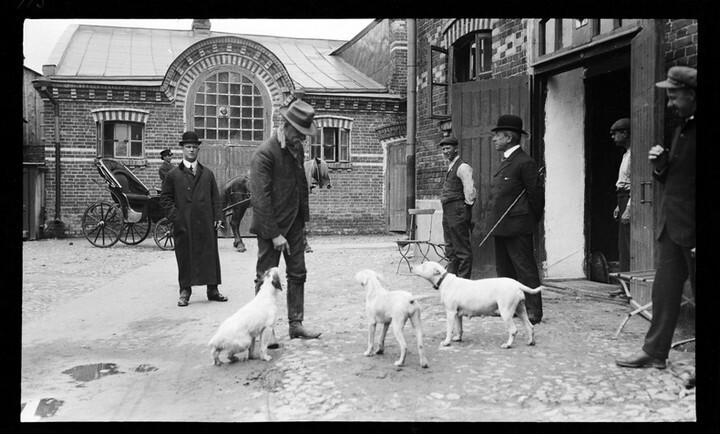 В продолжение темы ретро фотографий. Москва 1909 год