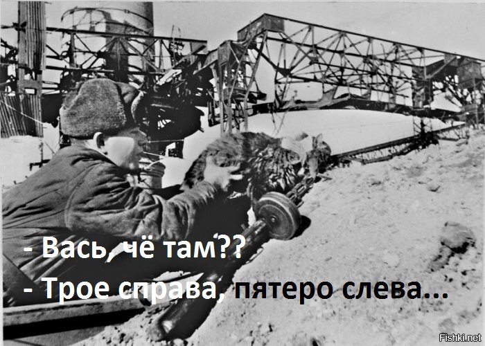 Из солянки
