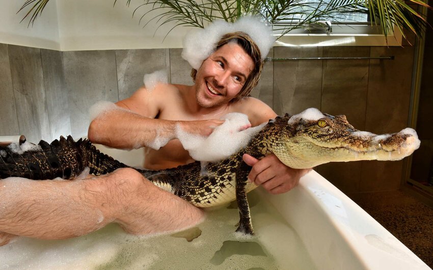В ванне с крокодилом