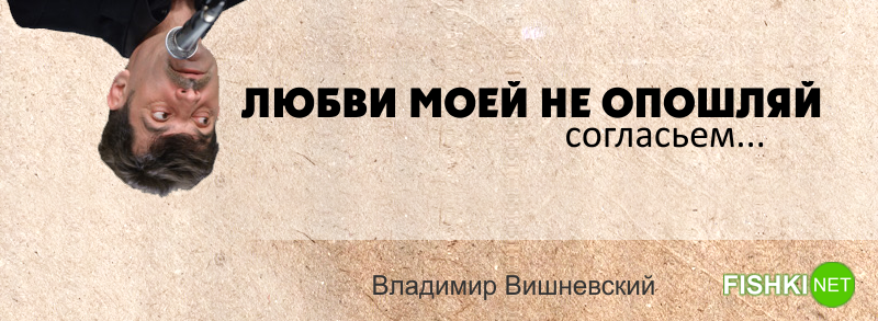 15 искромётных одностиший Владимира Вишневского на каждый день