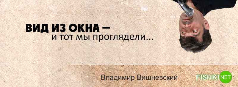 15 искромётных одностиший Владимира Вишневского на каждый день