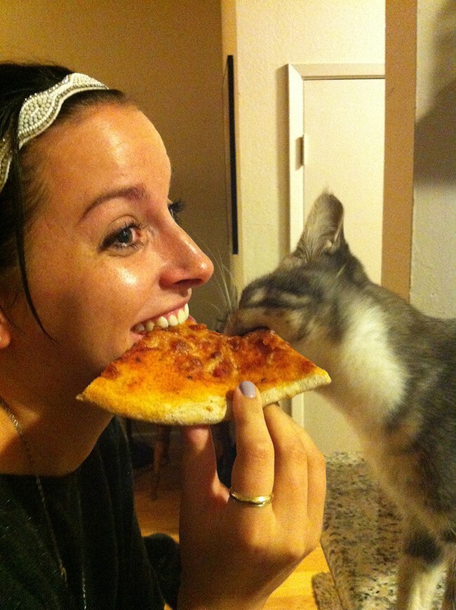 40 животных, которые любят пиццу больше, чем жизнь