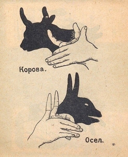 Театр теней. Как сделать зайца или кошку из рук!